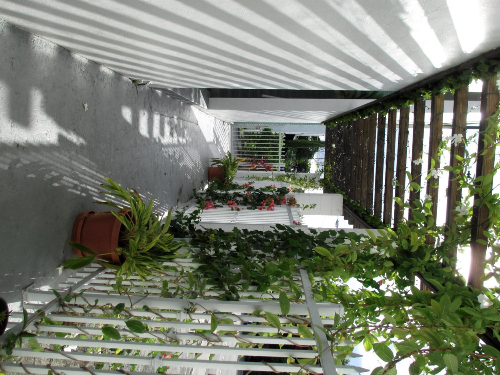 Shalimar Motel Miami Exterior photo