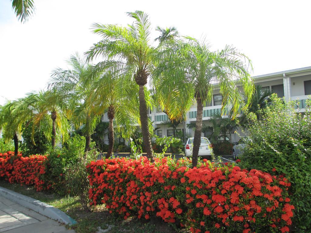 Shalimar Motel Miami Exterior photo