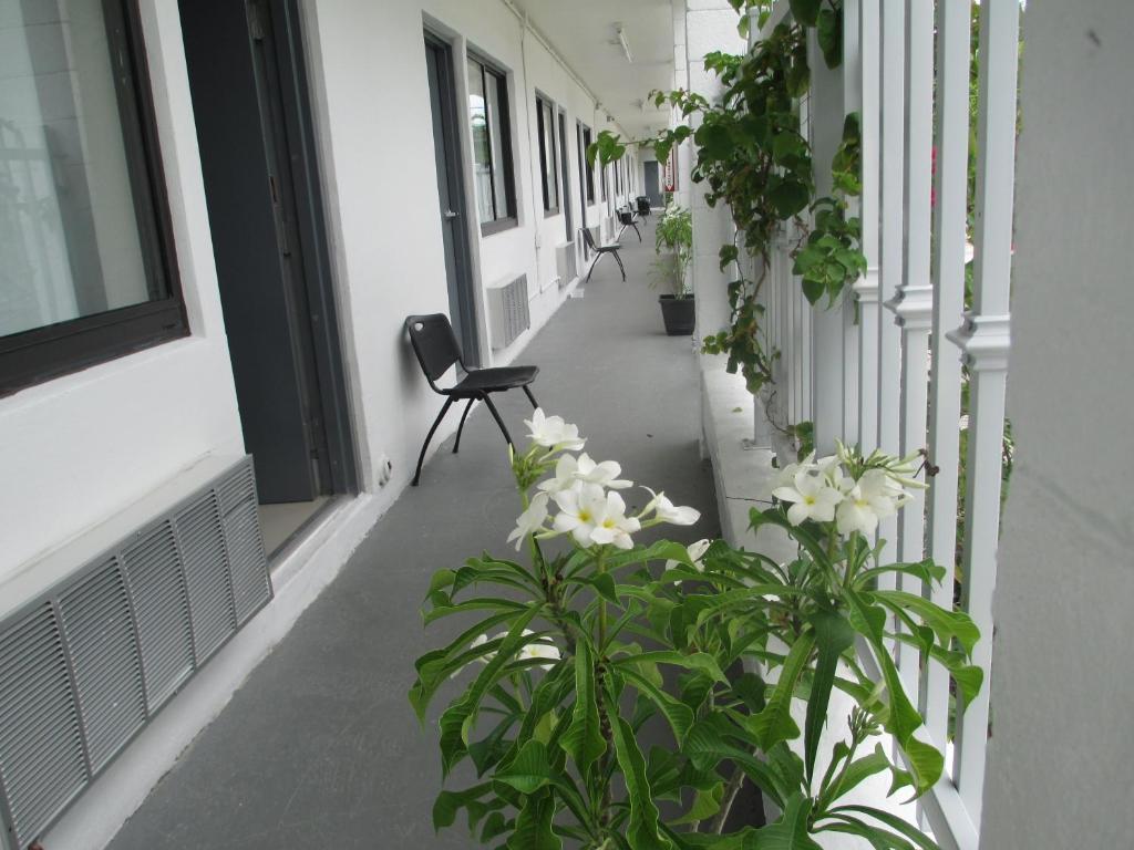 Shalimar Motel Miami Exterior photo